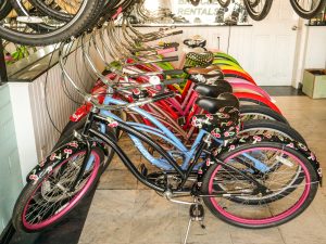 Cruiser King - Bike Rentals In Santa Cruz, California
